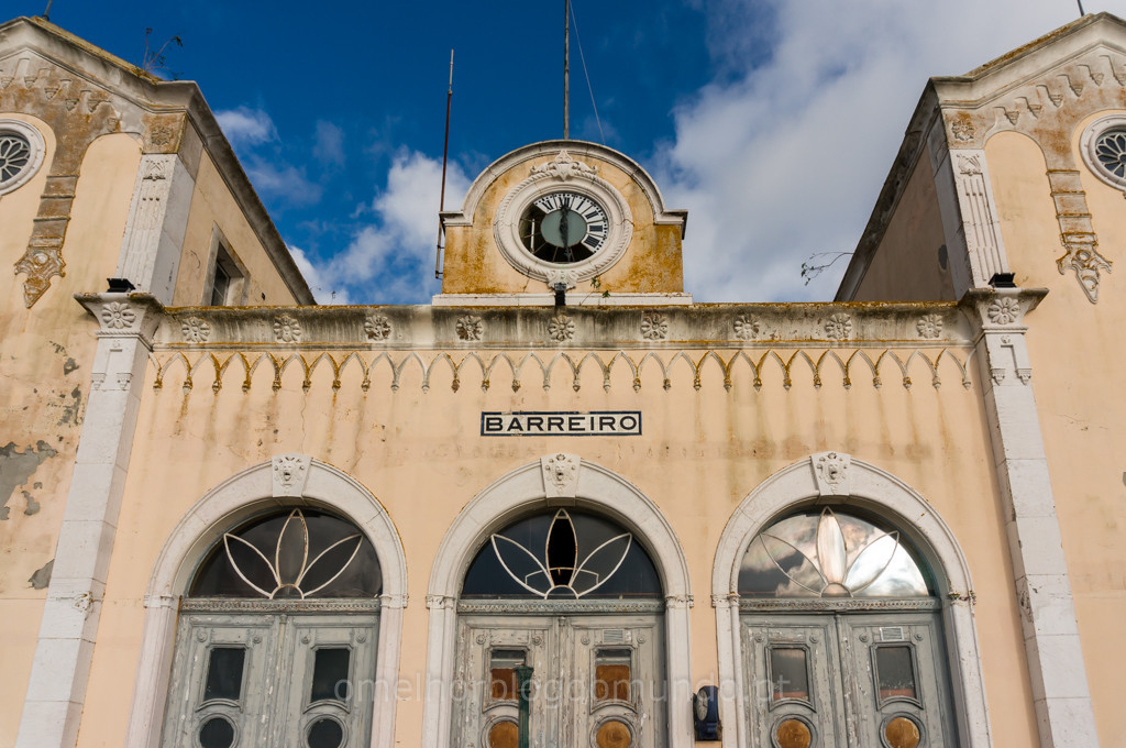 _DSC5609.jpg _DSC5609.jpg