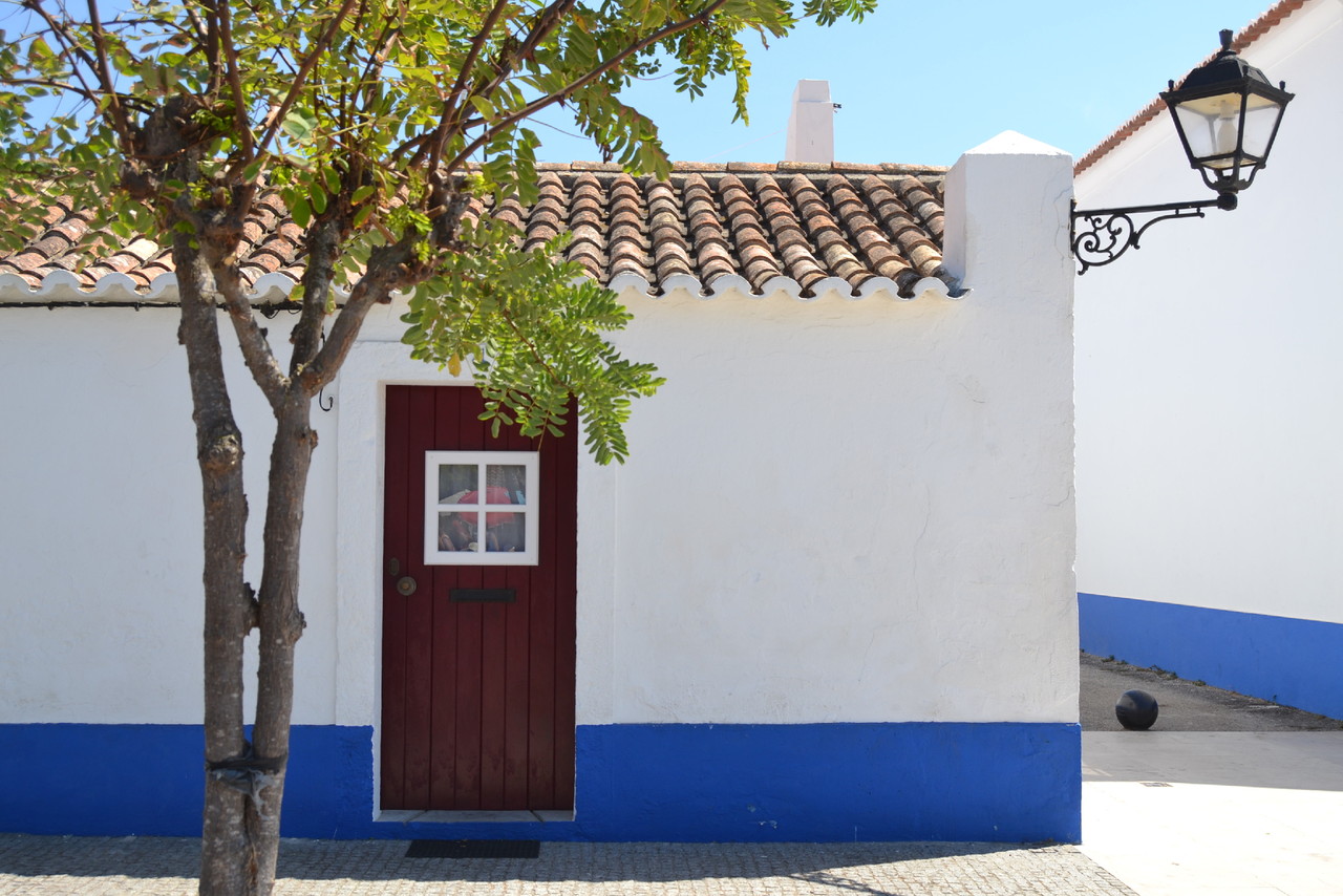 DSC_0508.JPG DSC_0508.JPG