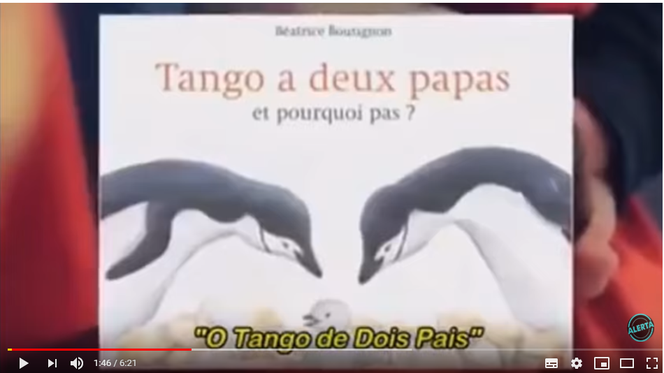Pinguim 2.PNG