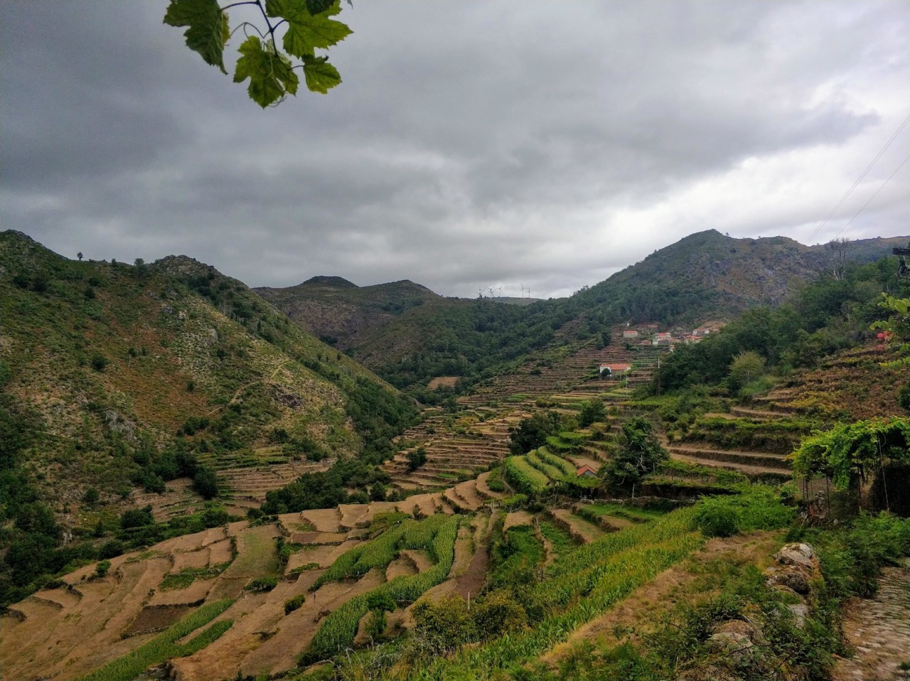 Vistas do trilho das Brandas do Sistelo.jpg