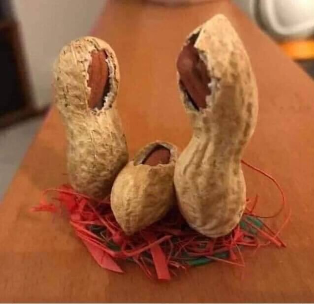 602893916_122265922304021078_7865867131150333999_n