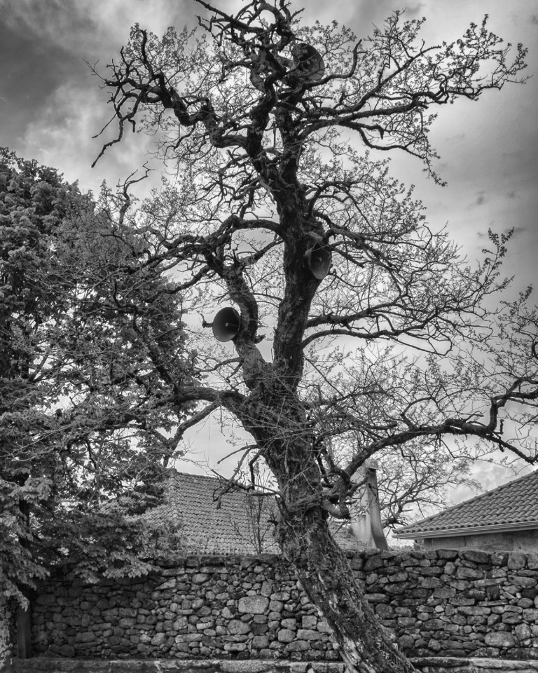 Barroso - Penedones, ETC, XT1 012 - cópia copy.j Barroso - Penedones, ETC, XT1 012 - cópia copy.j