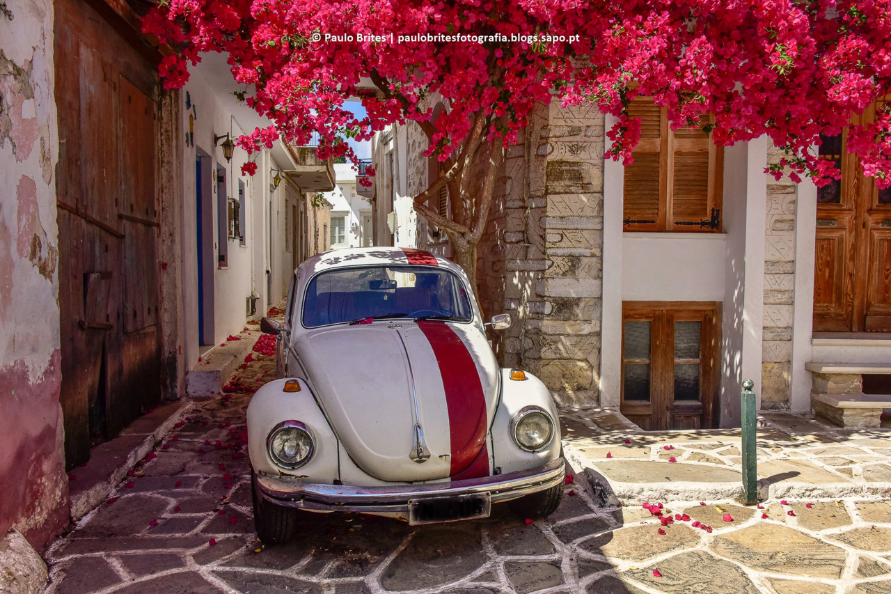 DSC_11355-1-2.jpg DSC_11355-1-2.jpg