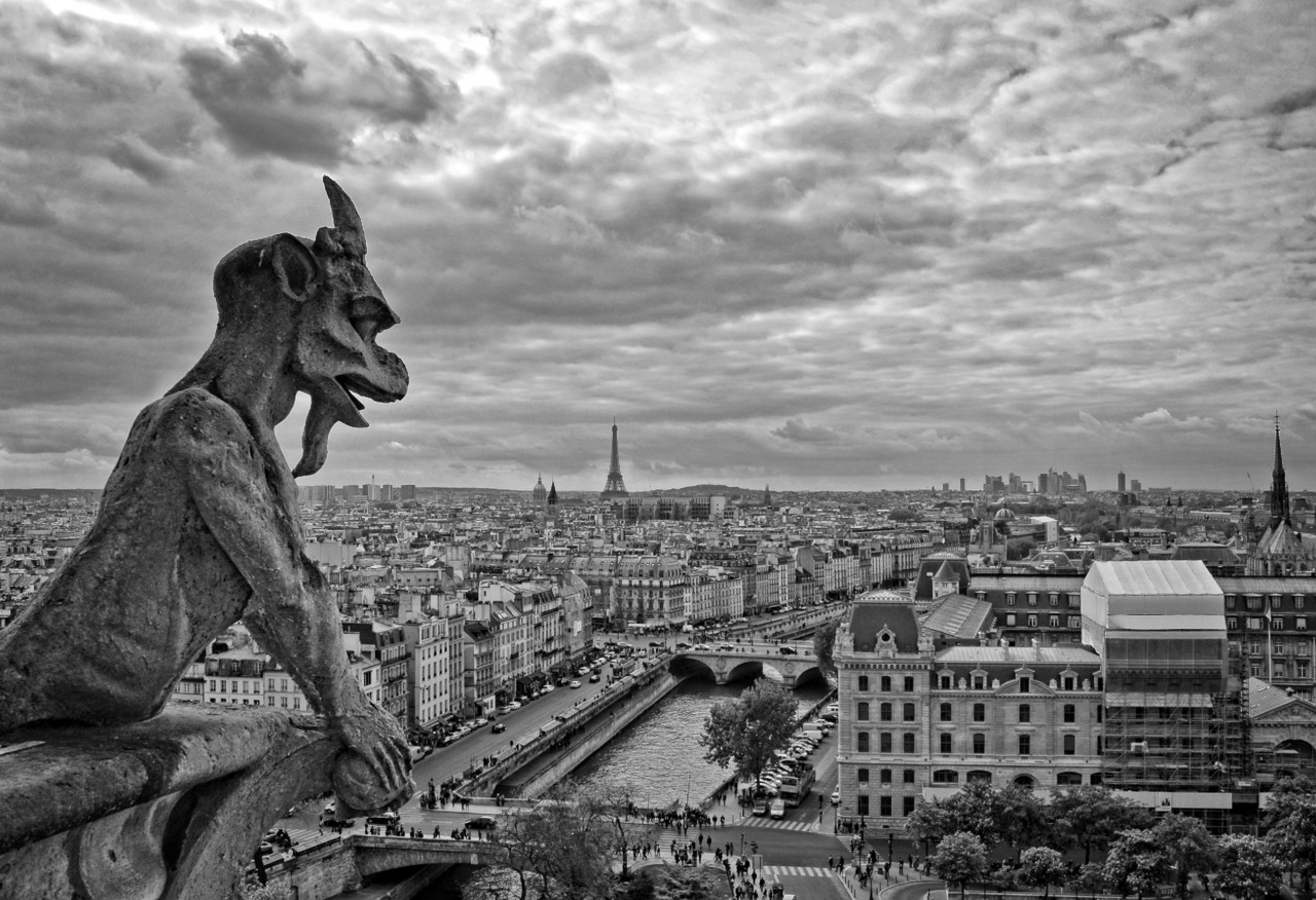 _JMD0849 - cópia copy - cópia copy.jpg