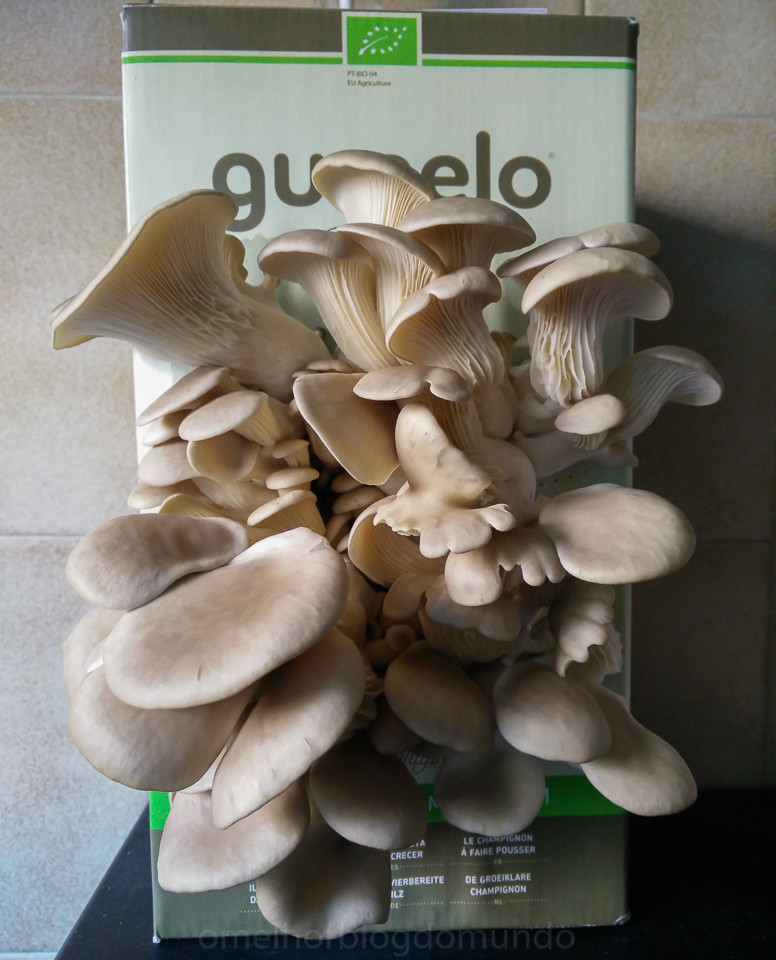 IMG_20160516_081119.jpg IMG_20160516_081119.jpg