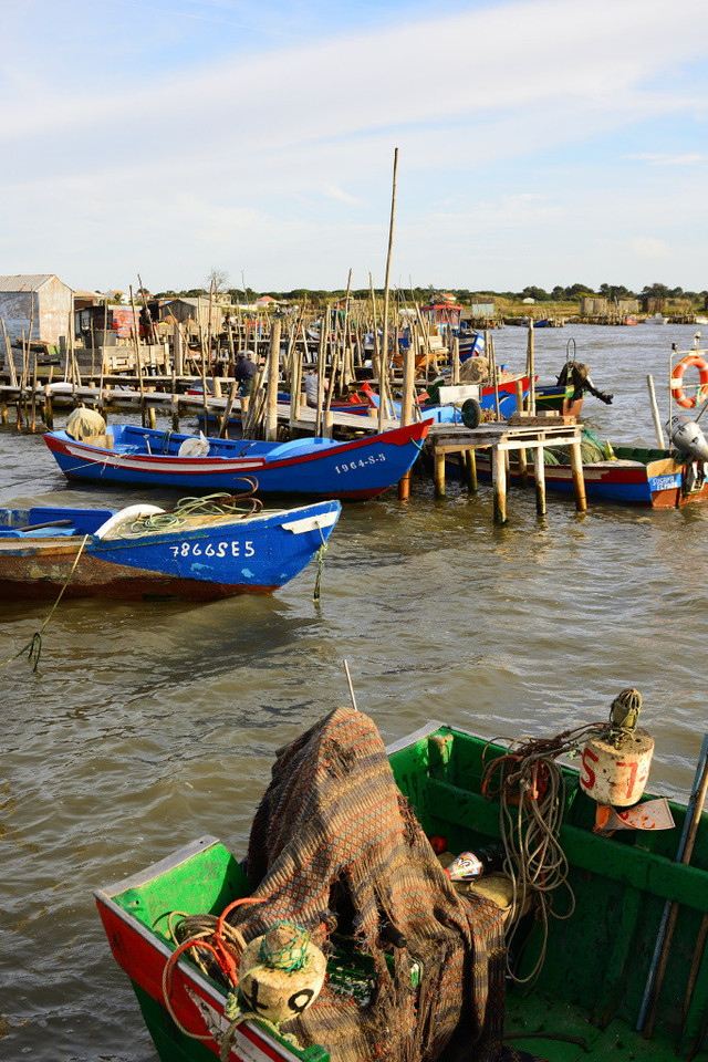 DSC_2917_01_00011.jpg DSC_2917_01_00011.jpg