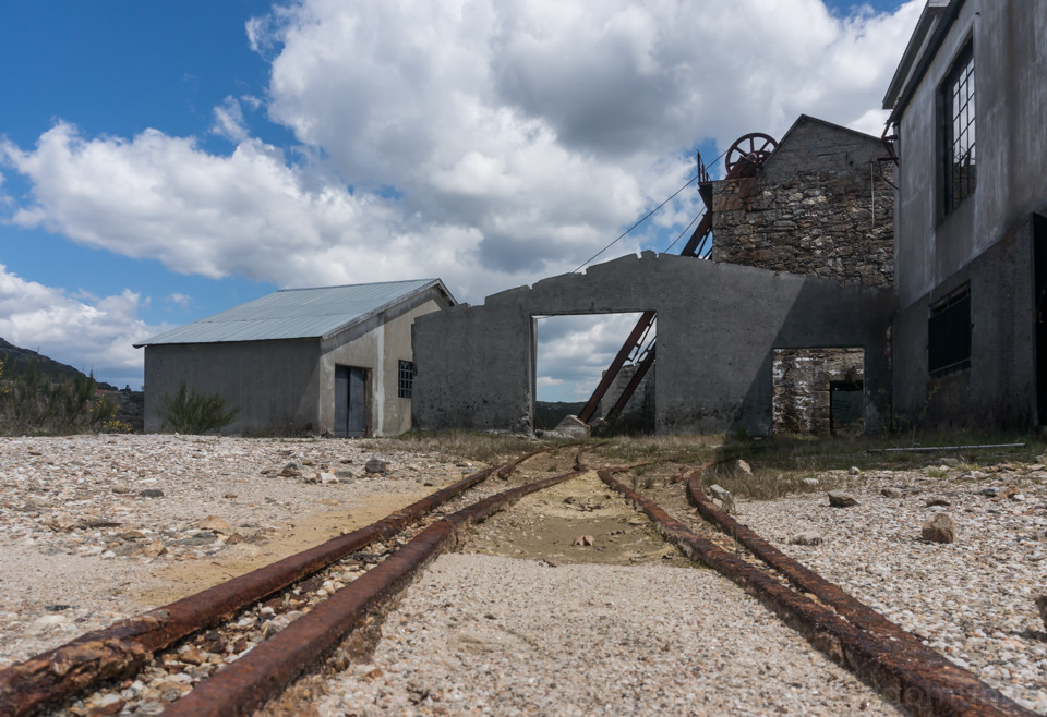 DSC01887.jpg DSC01887.jpg