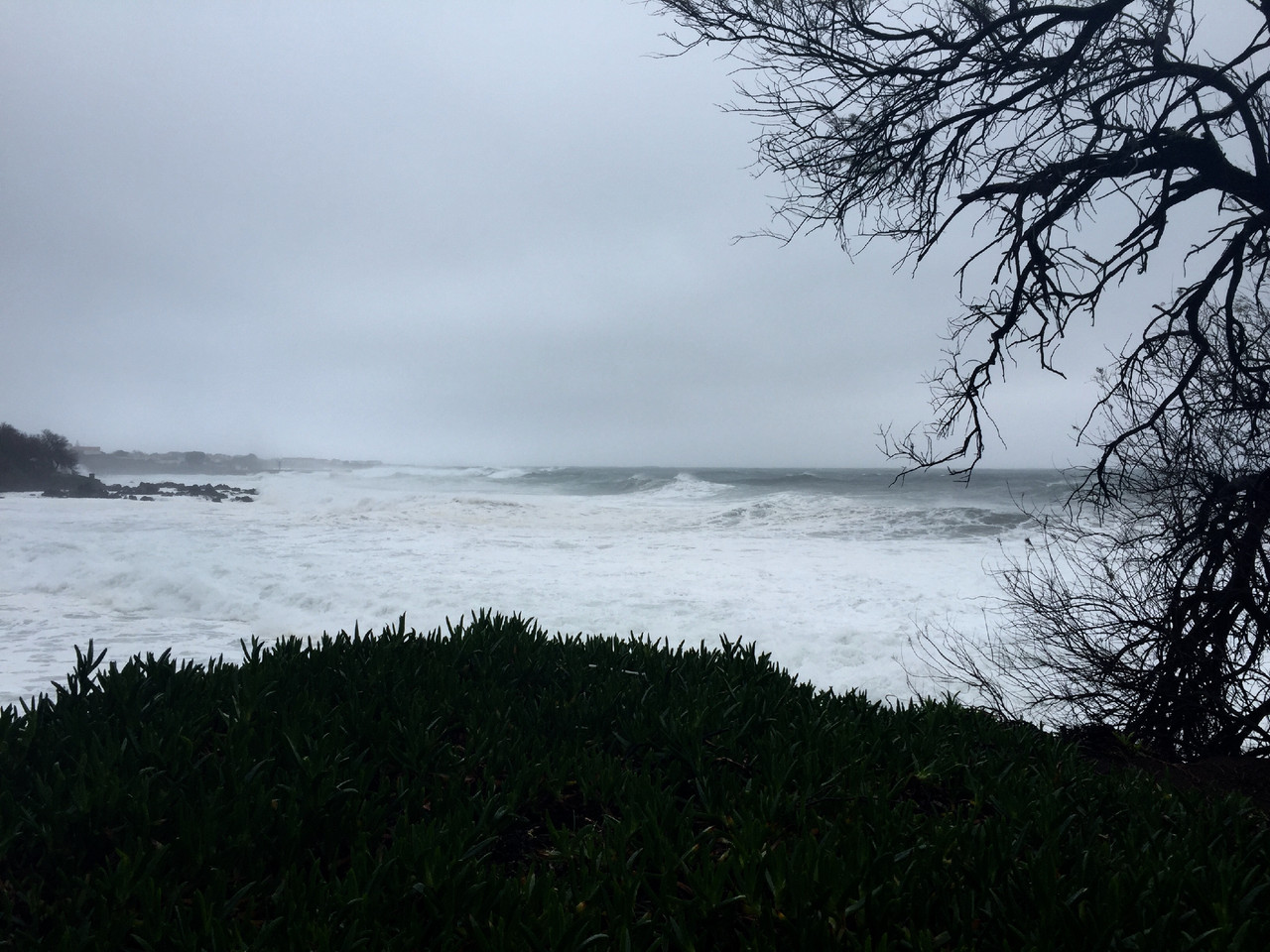 O Arquipélago.jpg O Arquipélago.jpg