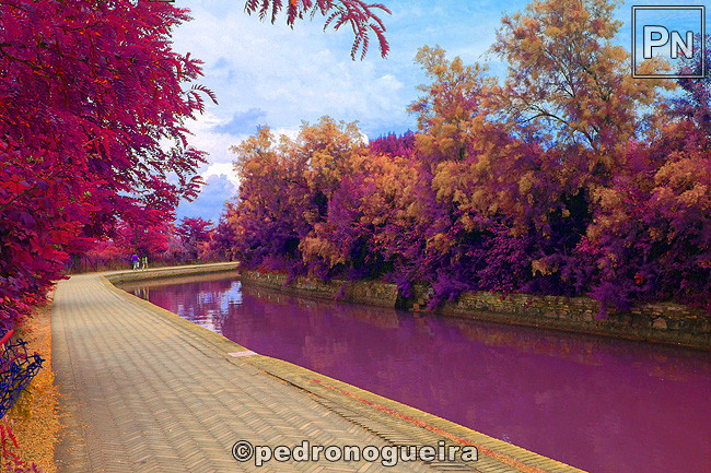 Jun_2017_207IR 650px.jpg