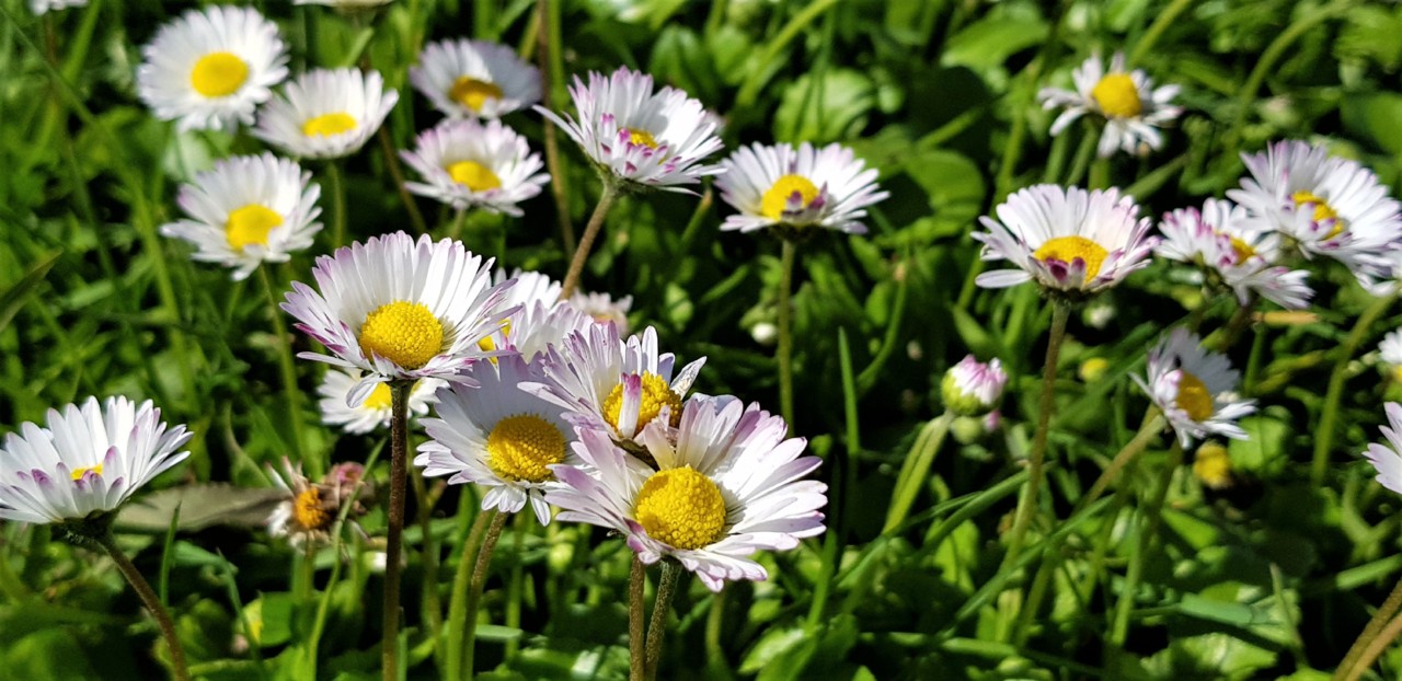 20180416_163153.jpg 20180416_163153.jpg