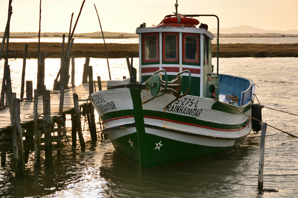 DSC_2910_01_00005.jpg DSC_2910_01_00005.jpg