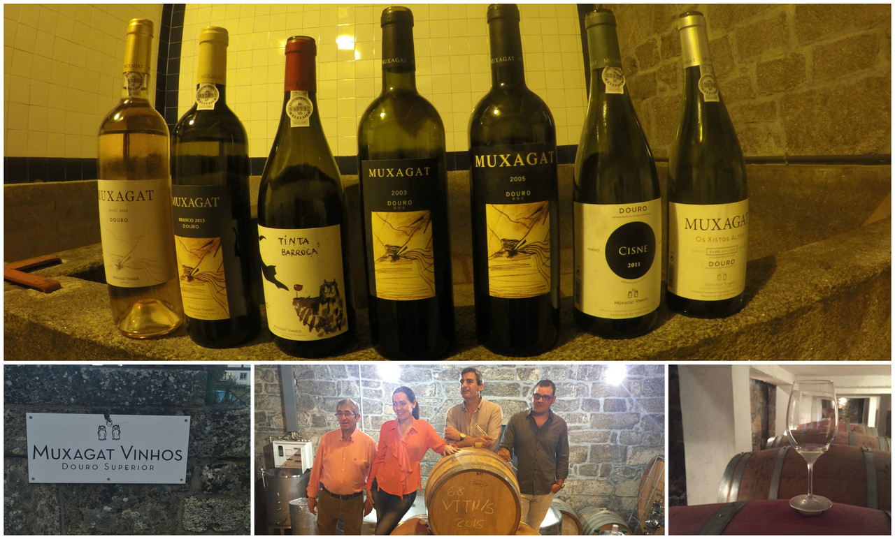 Muxagat Vinhos