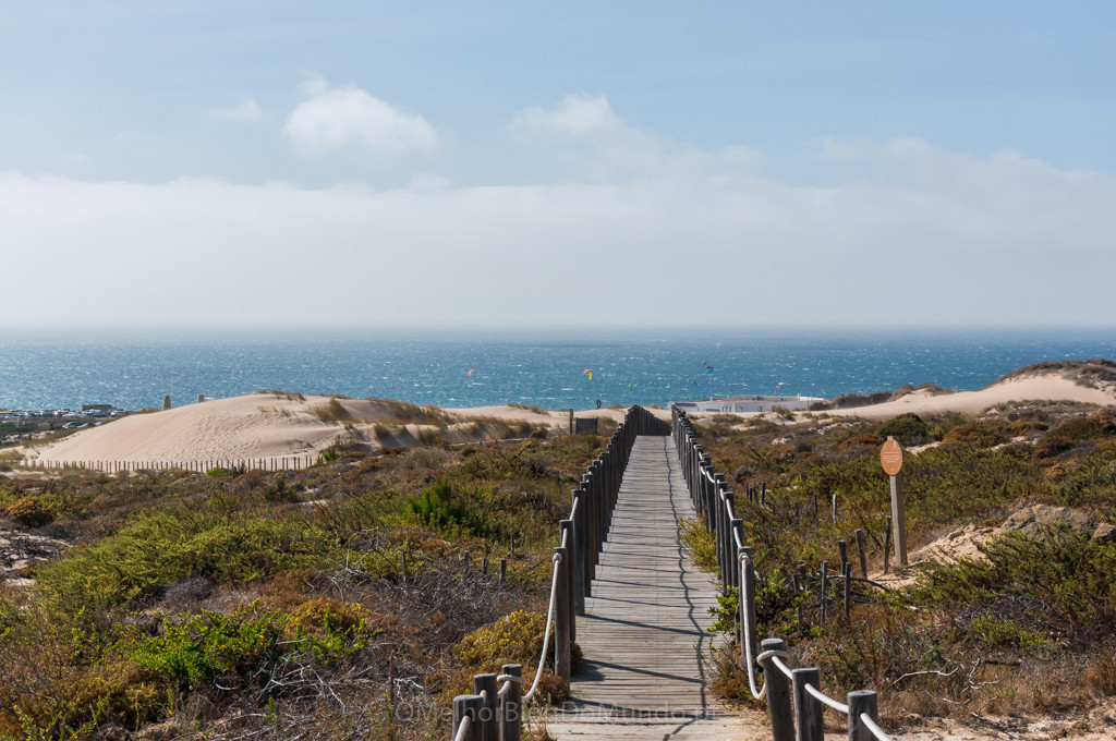 DSC00674.jpg DSC00674.jpg