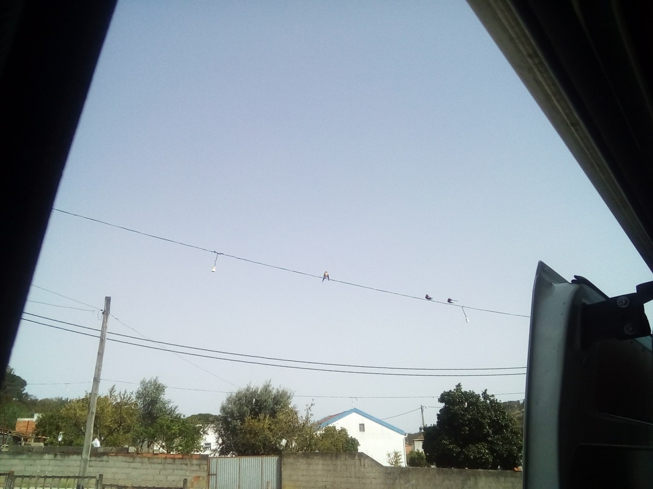 31301891_10211384673240709_3533928735013076992_o.j 31301891_10211384673240709_3533928735013076992_o.j