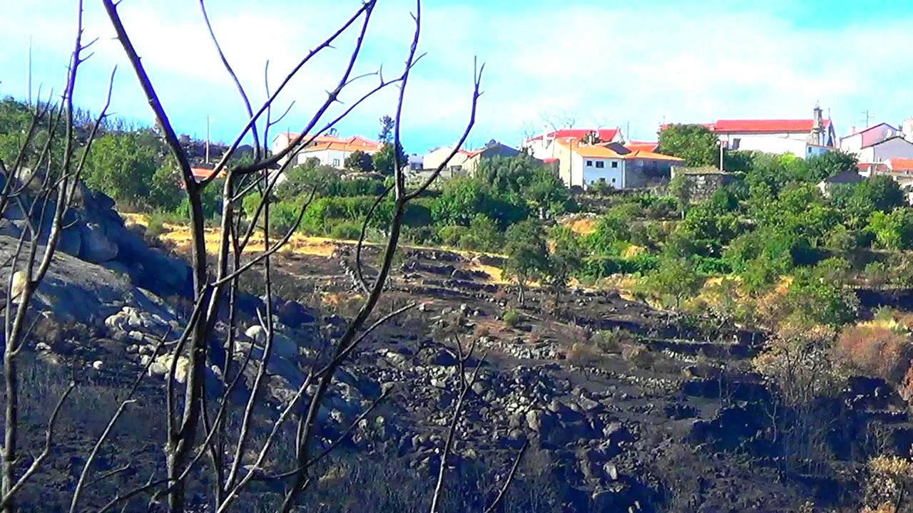 Da Nacional 18     7.jpg