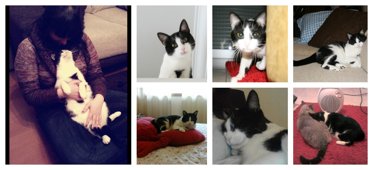 Mimo composição.jpg