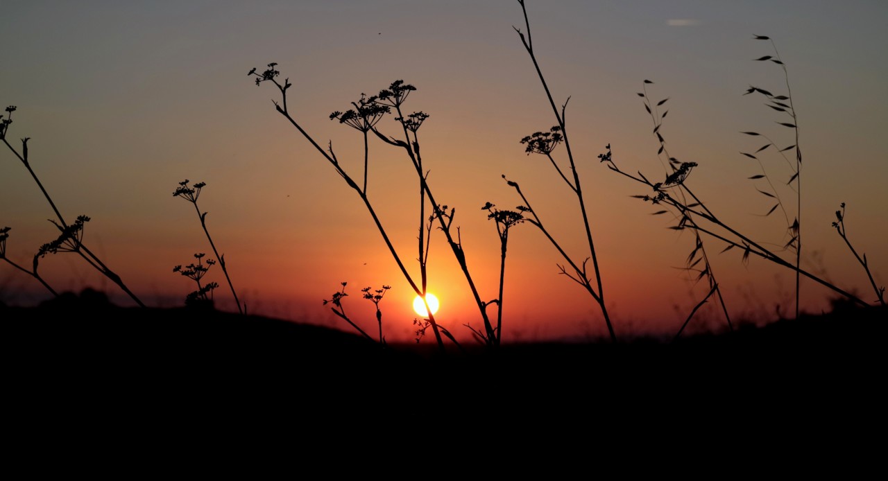 fim de um dia.jpg fim de um dia.jpg