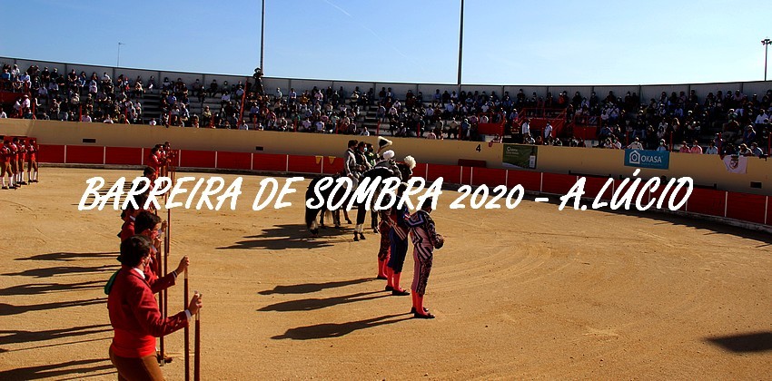 IMG_6016.JPG IMG_6016.JPG