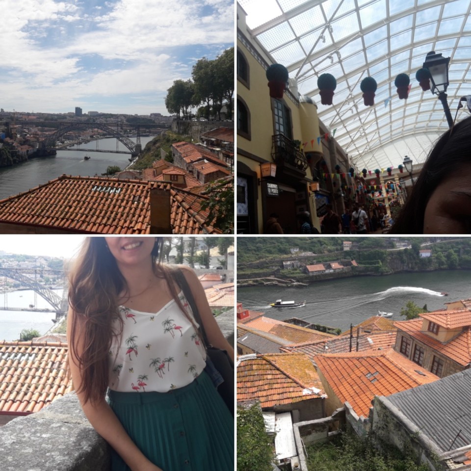 IMG_20190702_081203.jpg IMG_20190702_081203.jpg