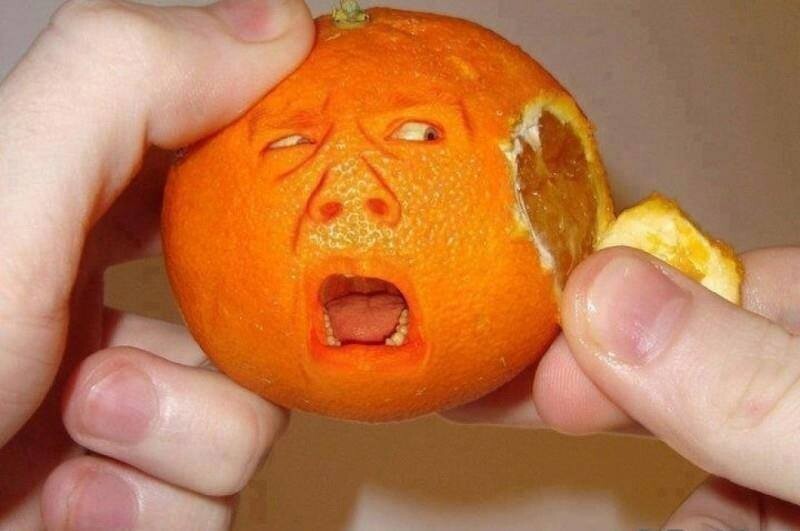 70300.11039215_928006223902860_215499727993470789_