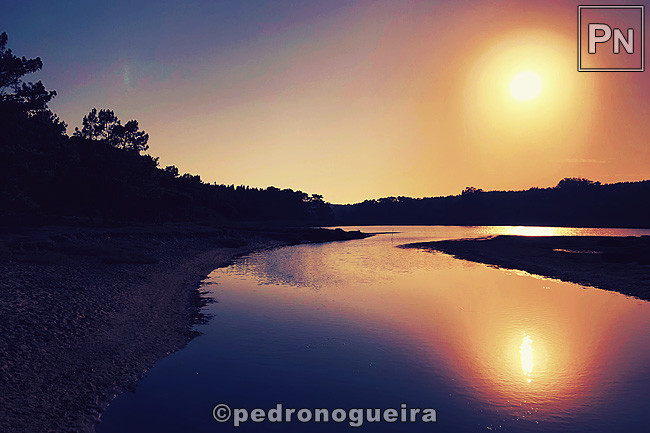 Ago_2019_093a 650px.jpg