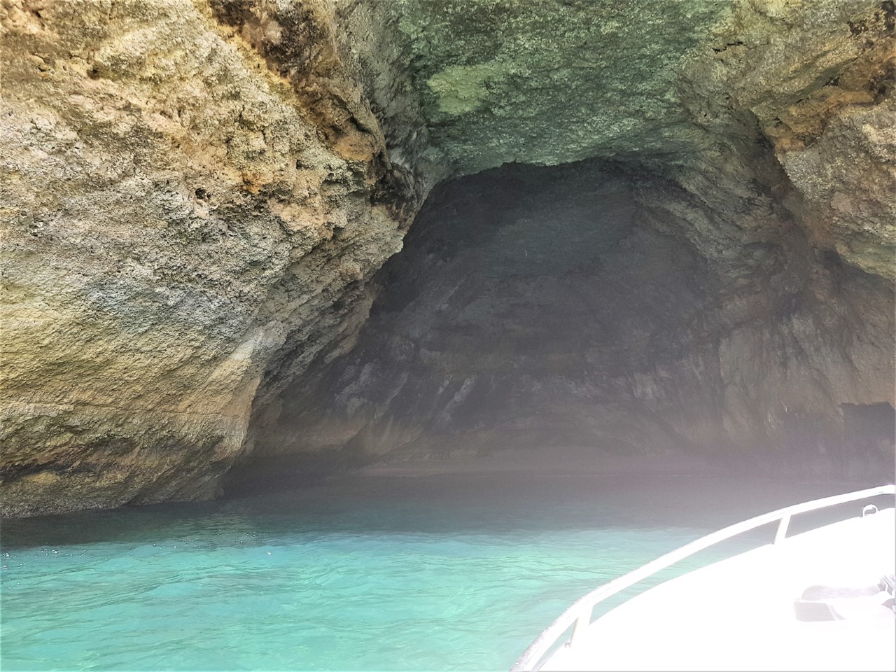 36380577_10210109676133191_5476033669757927424_n.j