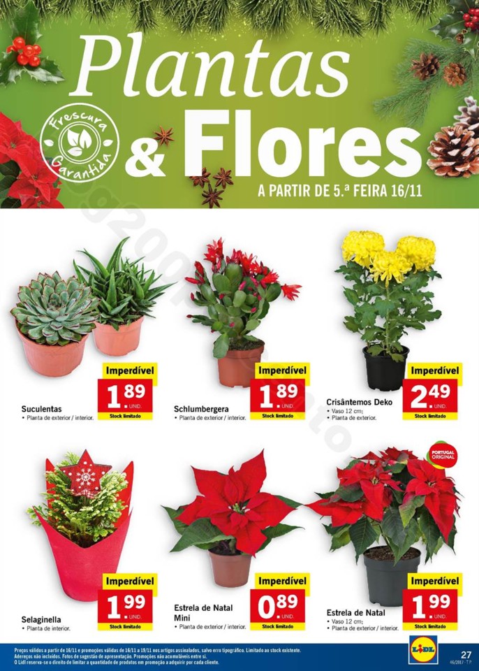 folheto lidl 13 a 19 novembro (36).jpg