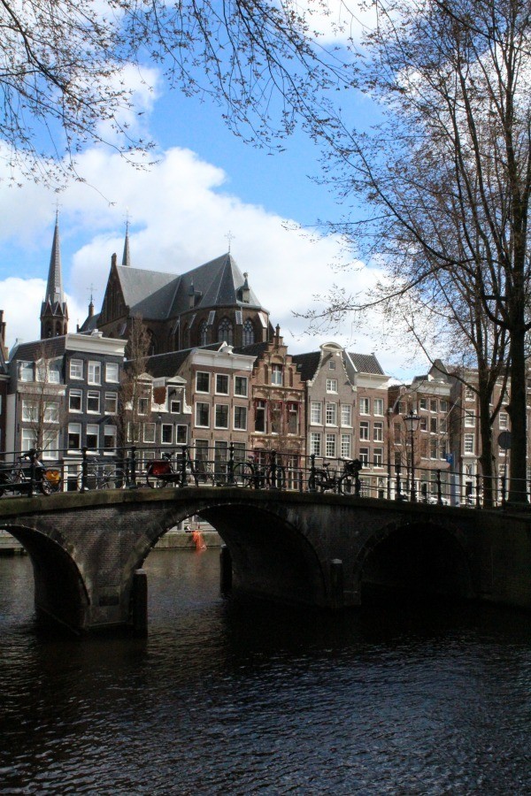 IMG_1554.JPG IMG_1554.JPG