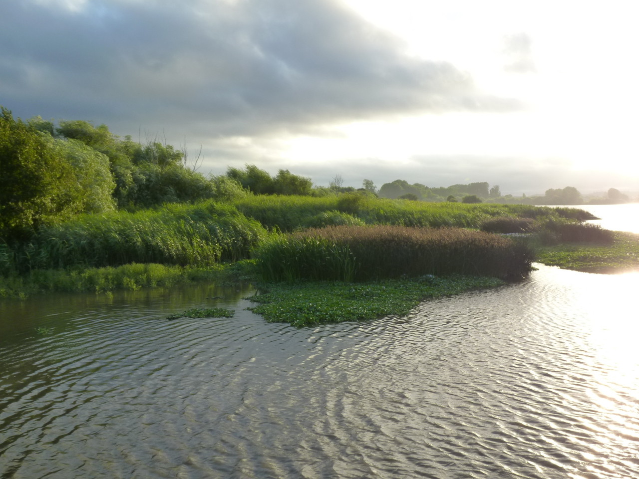 Pateira de Fermentelos (13).JPG