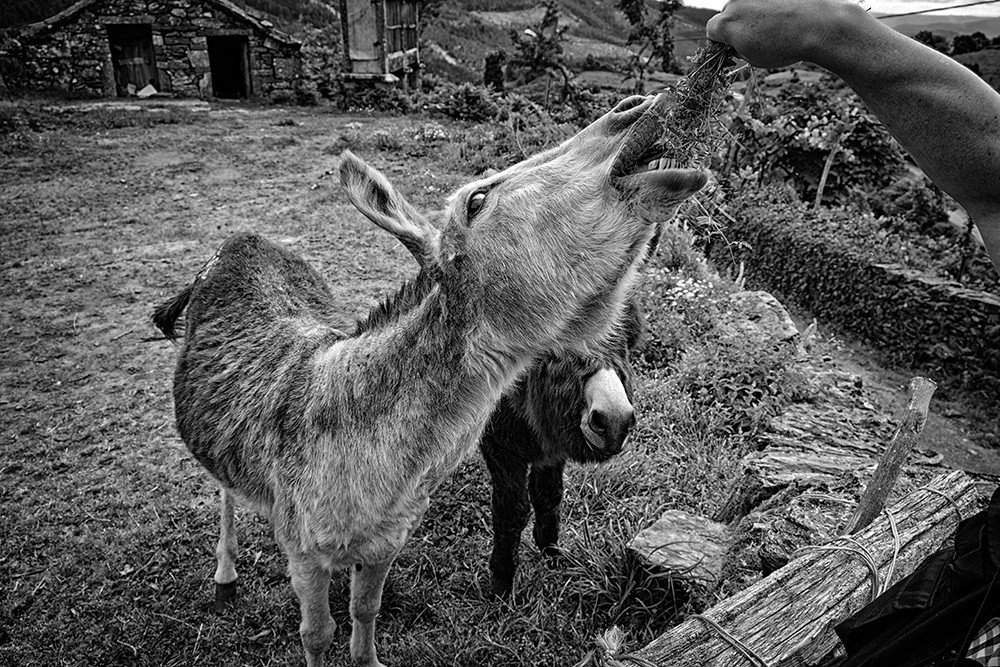 barroso - volta por SAlto 093 - Cópia.jpg