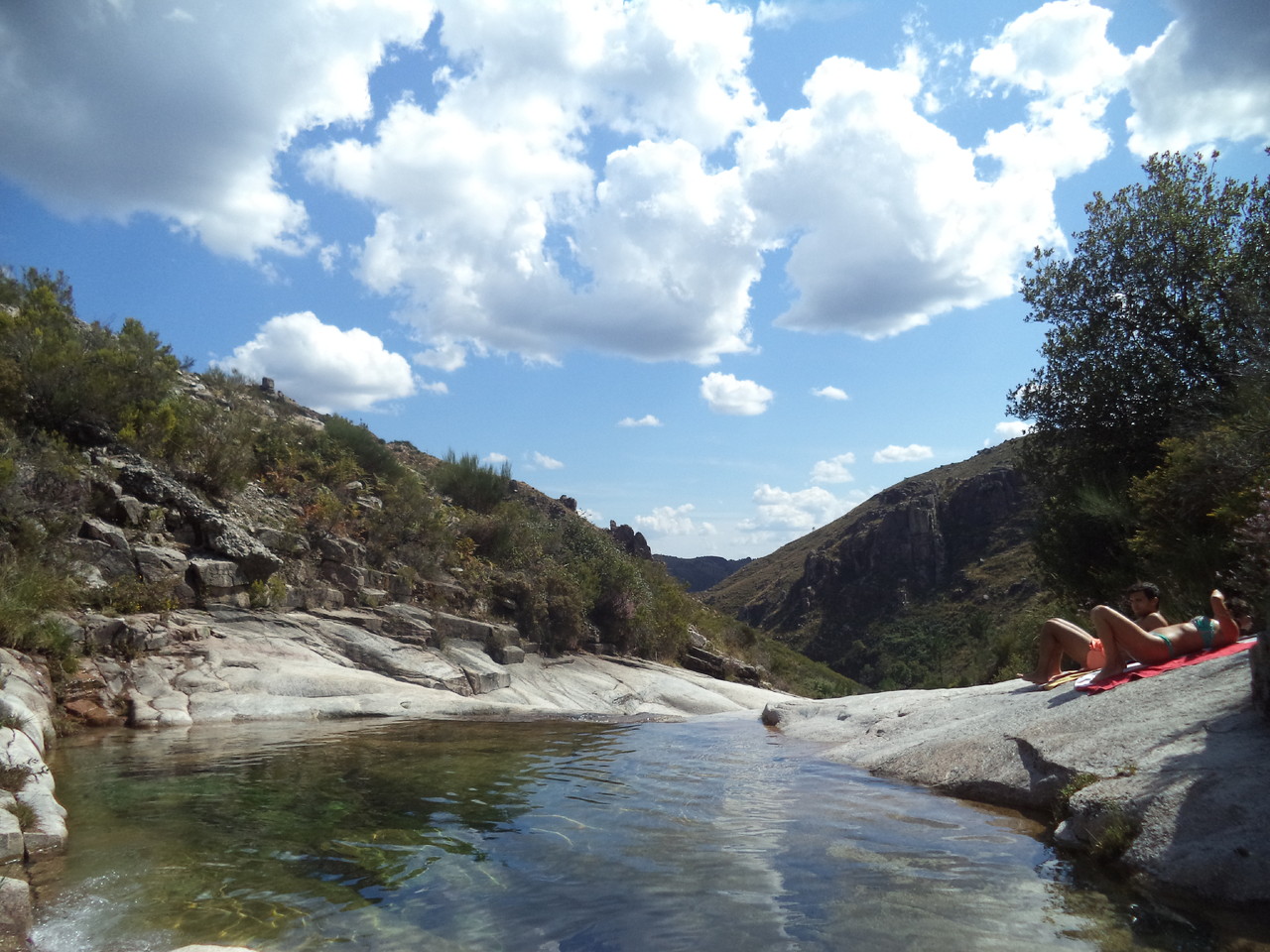 DSC08741.JPG DSC08741.JPG