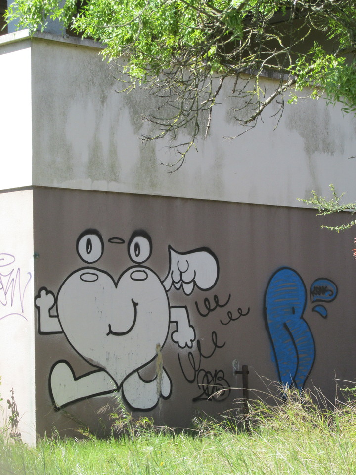 IMG_6336.JPG IMG_6336.JPG