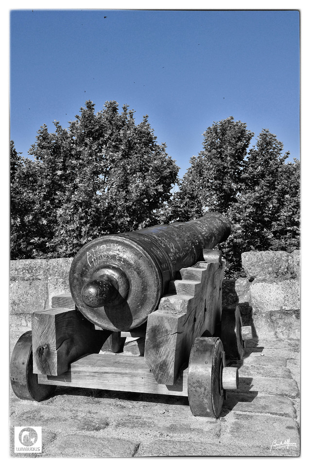 DSC_0029a.jpg
