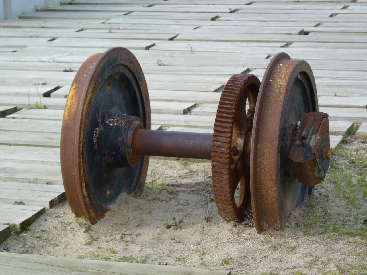 Parque Linear Ribeirinho do Estuário do Tejo (15)