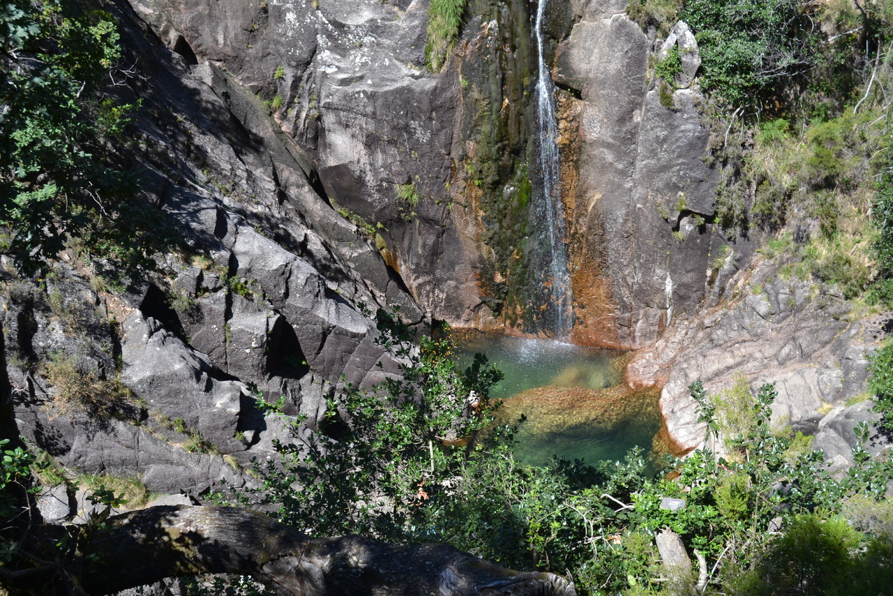 DSC_0779.JPG DSC_0779.JPG