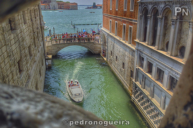 Jun_2017_366b 650px.jpg Jun_2017_366b 650px.jpg