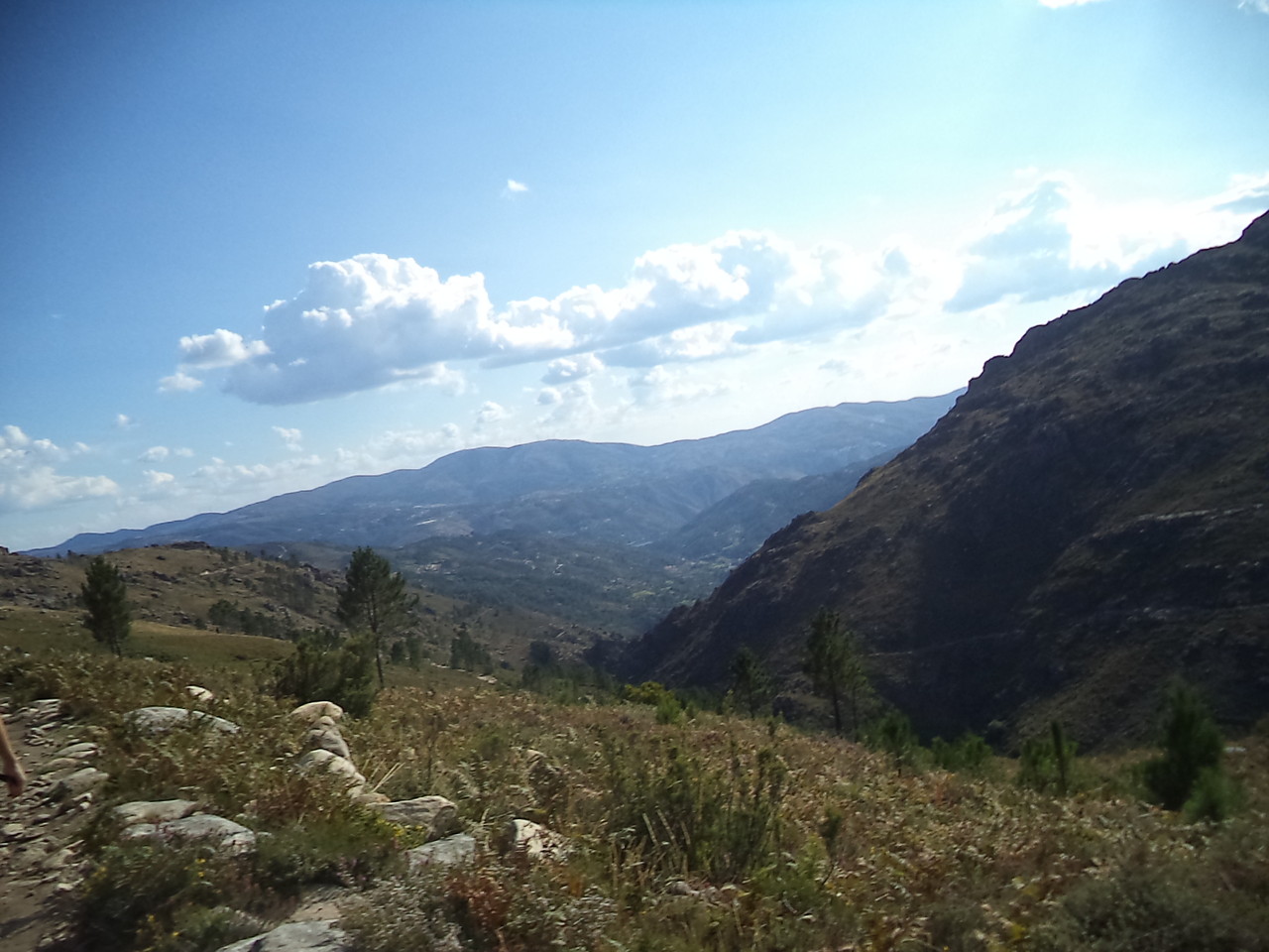 DSC08775.JPG DSC08775.JPG