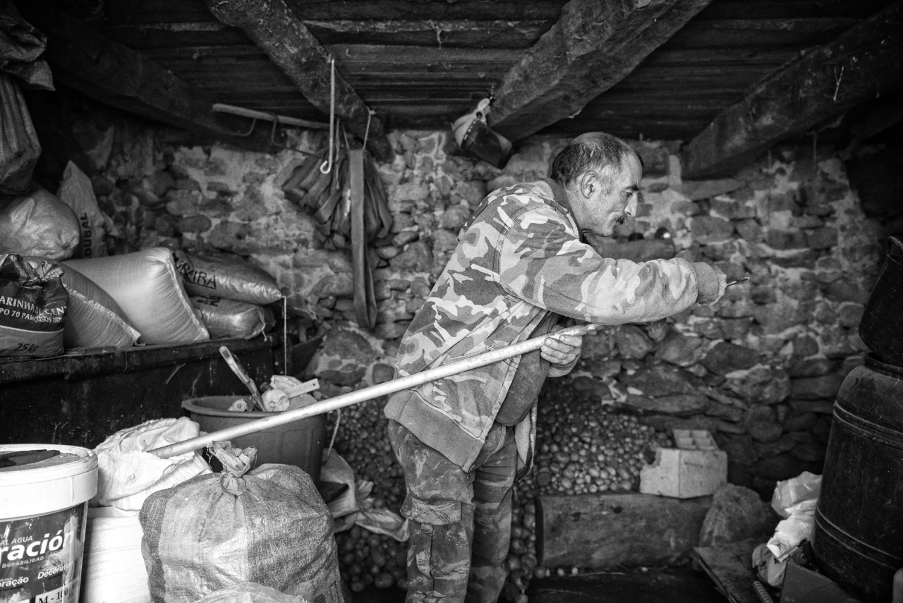 _JMF7310 - cópia copy.jpg