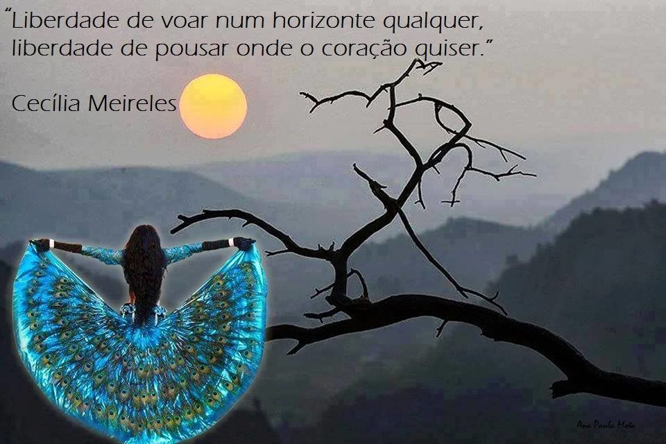 liberdade de voar.jpg