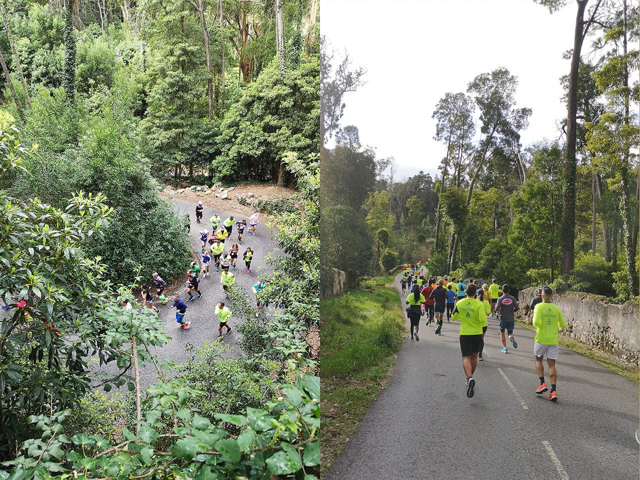 fim_da_europa_saucony_Kinvara_10_correr_na_cidade.