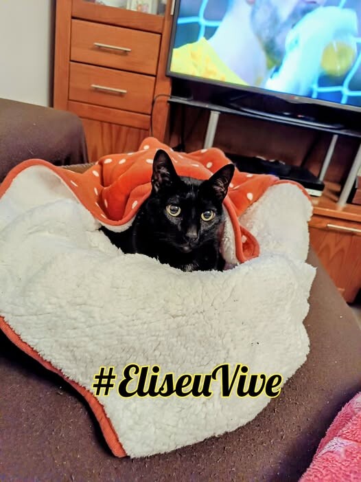 484332261_8950907645014839_1875525078173555361_n.j