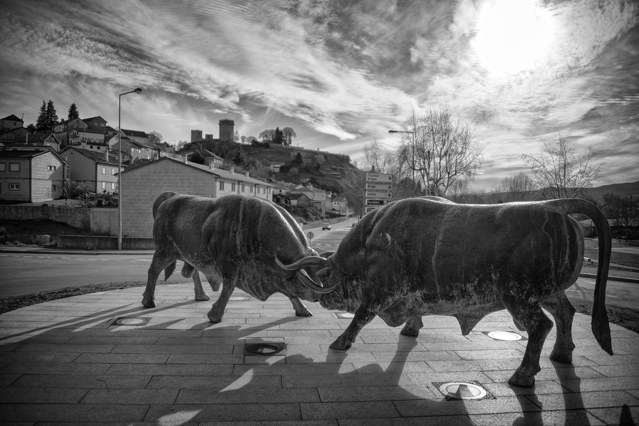 Vidago+Chaves+Barroso 262 - cópia copy.jpg