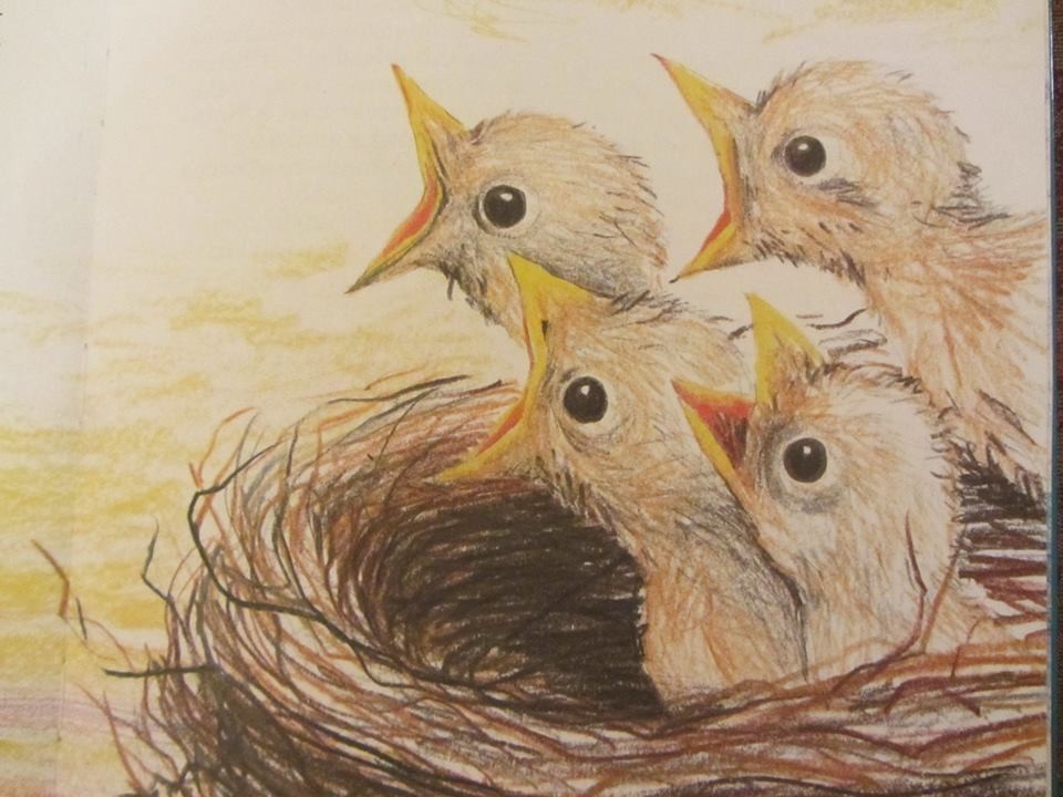 18198216_1329110940510135_4266603186674882801_n.jp