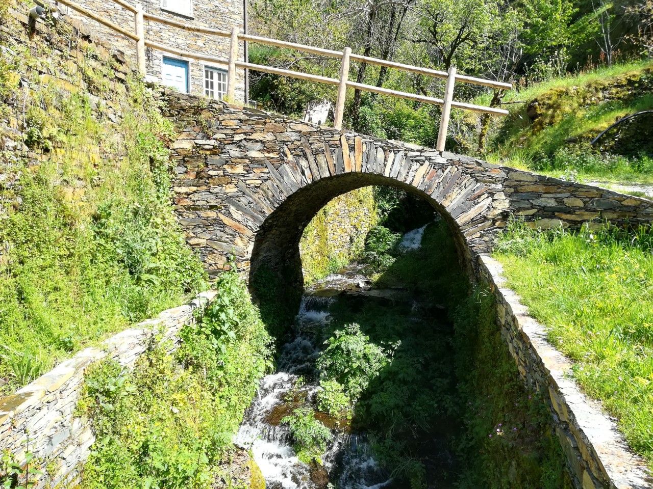 IMG_20190427_154639.jpg