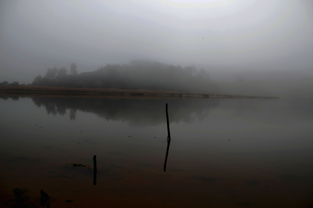 _MG_9702a.jpg _MG_9702a.jpg