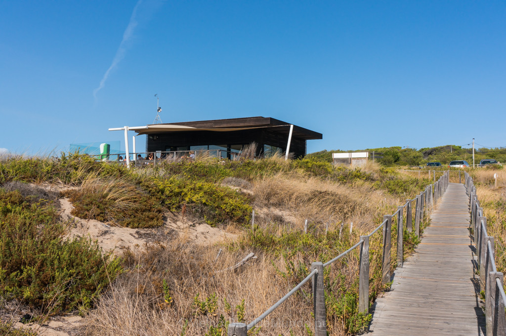 DSC00685.jpg DSC00685.jpg