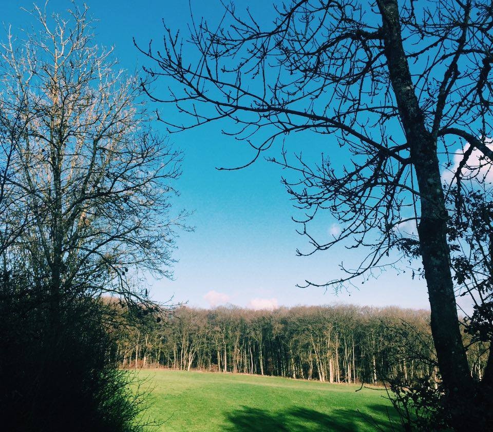 12386629_10205101965771852_1706234107_n.jpg 12386629_10205101965771852_1706234107_n.jpg