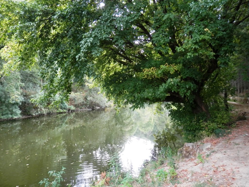 P9110299.JPG P9110299.JPG