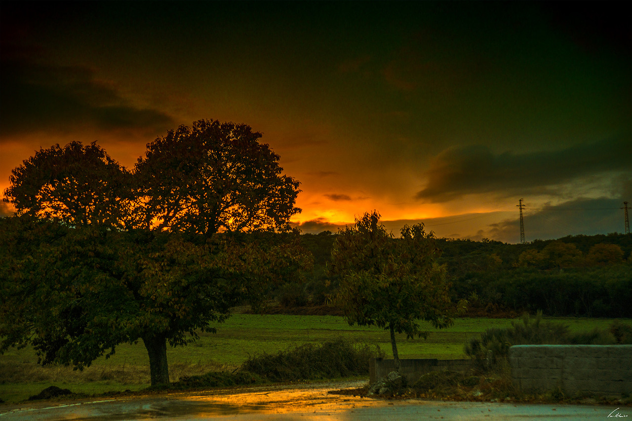 1600-meixide (37).jpg