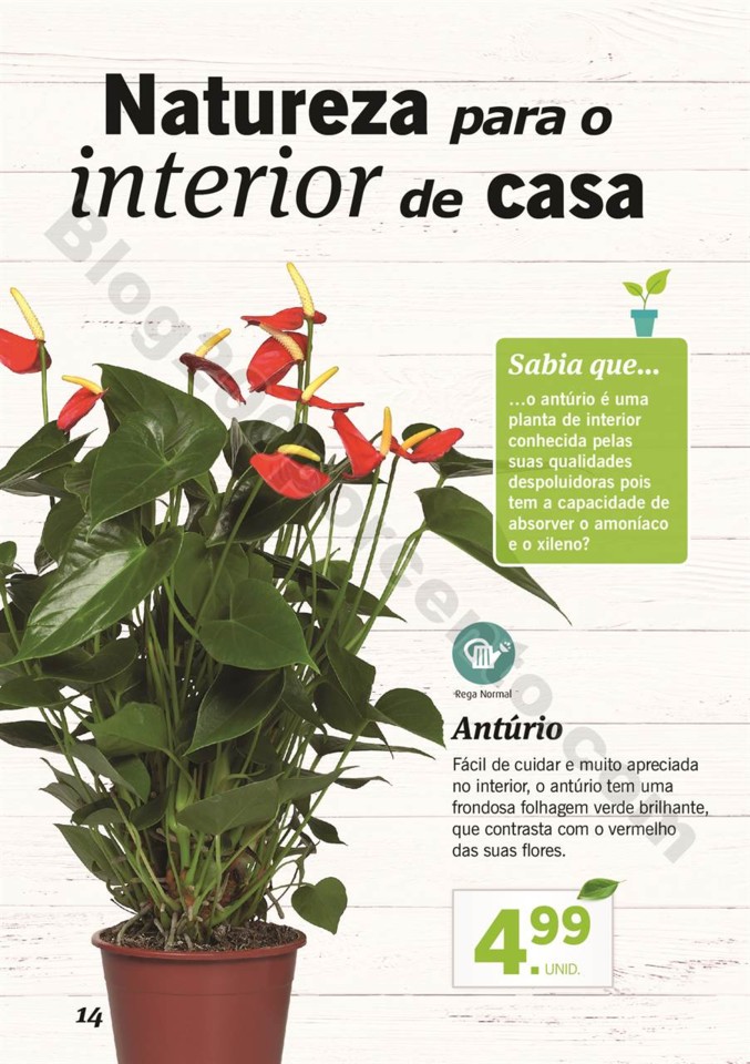 plantas_lidl_mercado_013.jpg